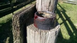 Barnyard Danger: One reason to keep a clean barnyard