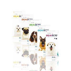 Bravecto fleas and ticks