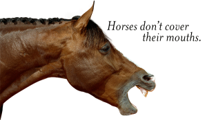 horses don't cover mouth