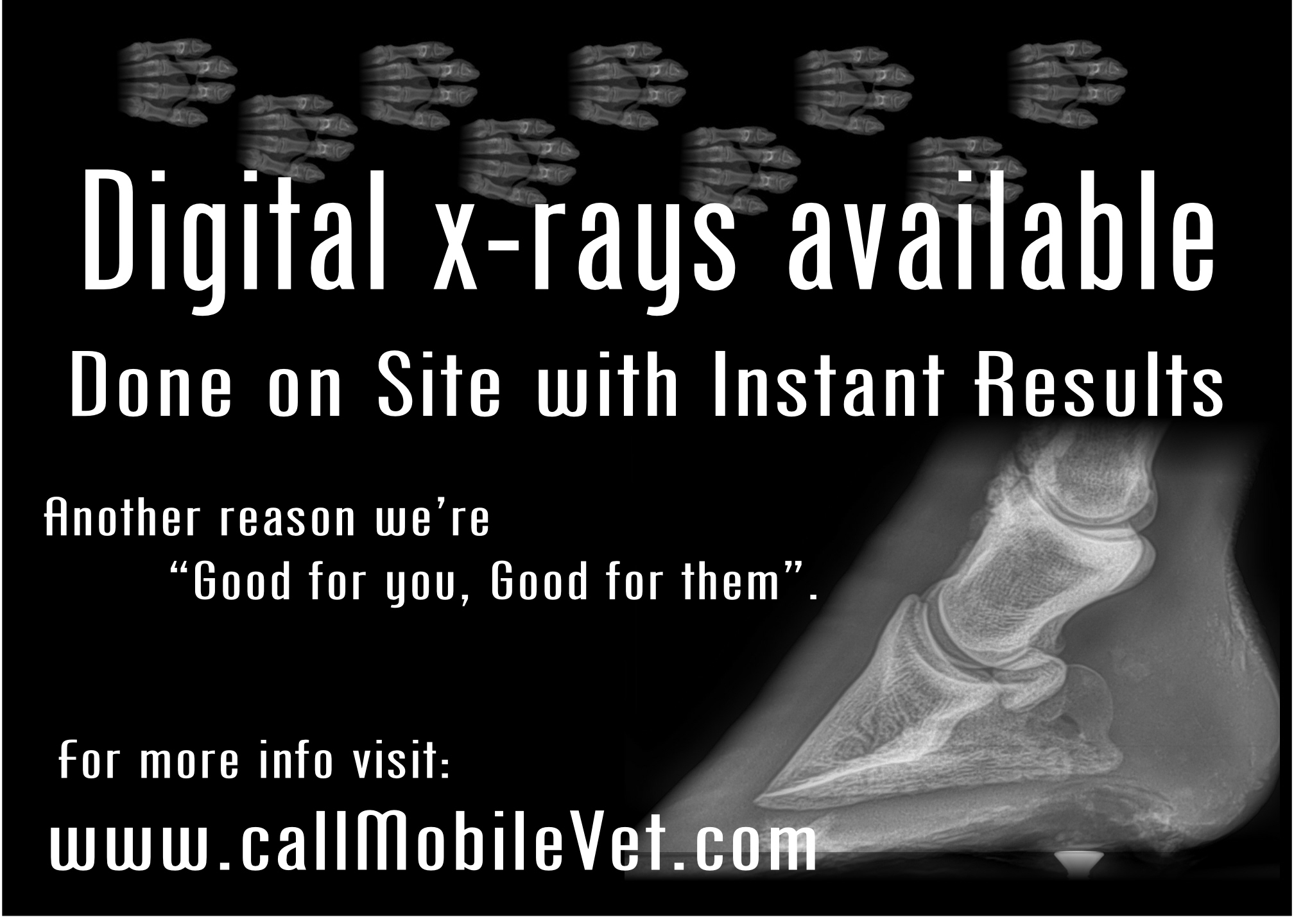 Digital X-RAYS now available!